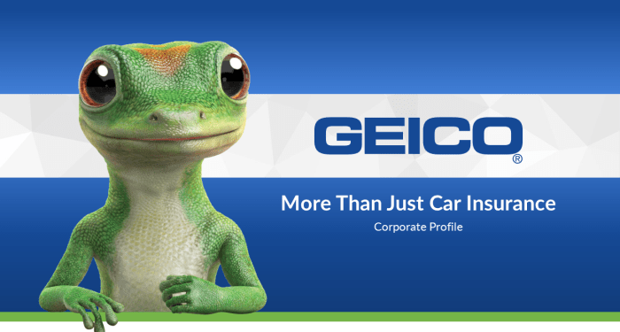 Insurance Commercials Geico