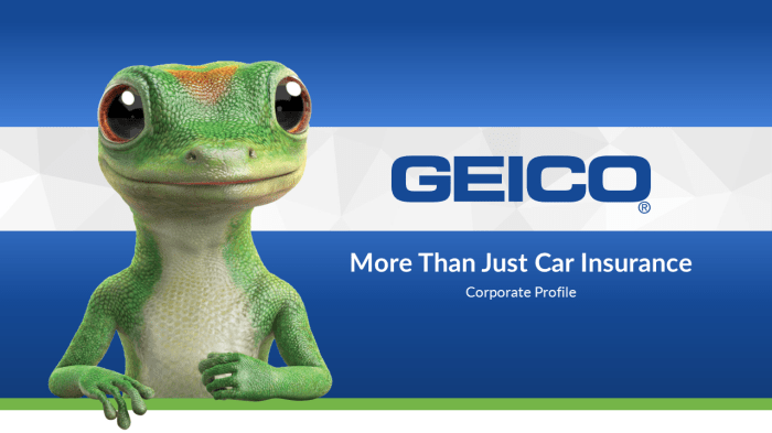 Insurance Commercials Geico